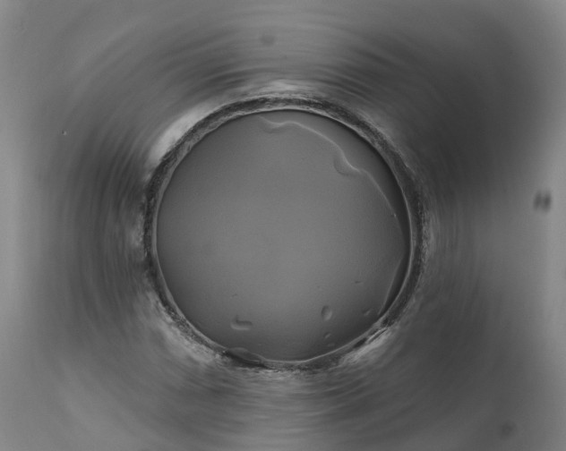 X0000111241066200907091354