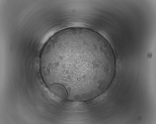 X0000111241067200907091354