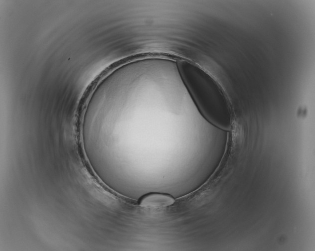 X0000111241068200907091354