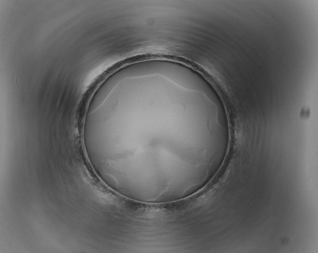X0000111241070200907091354