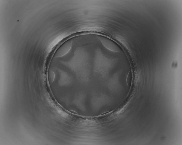 X0000111241071200907091354