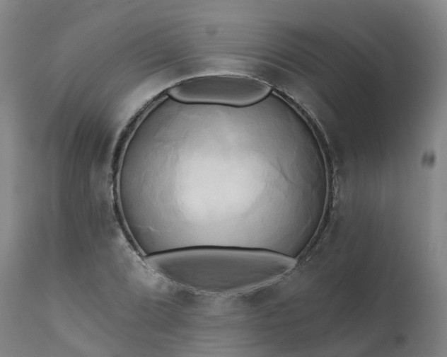 X0000111241072200907091354