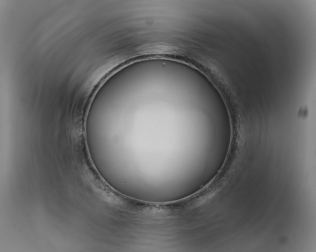 X0000111241073200907091354