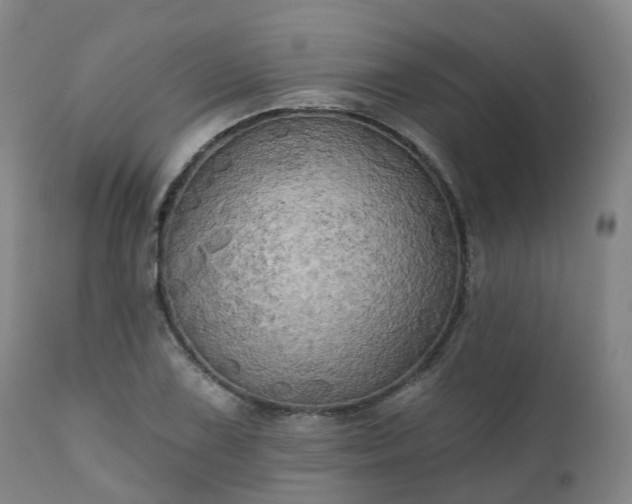 X0000111241075200907091354