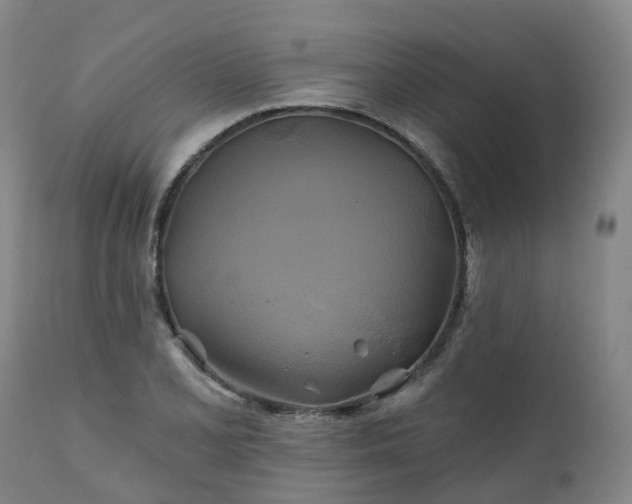 X0000111241077200907091354