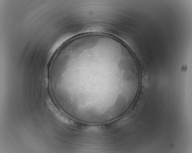 X0000111241078200907091354