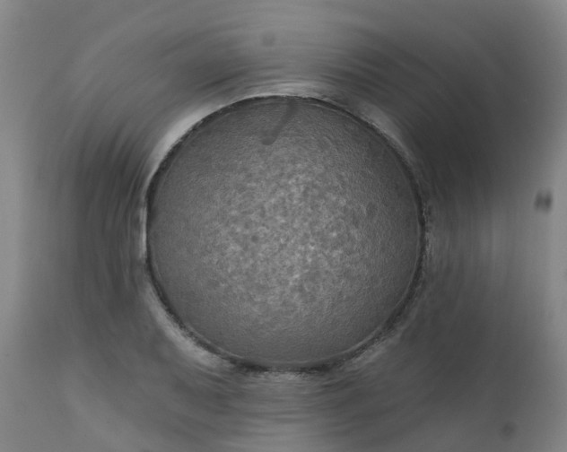X0000111241079200907091354