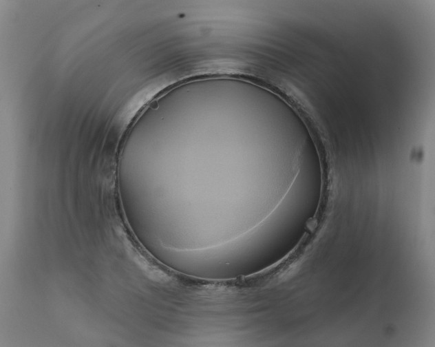X0000111241081200907091354