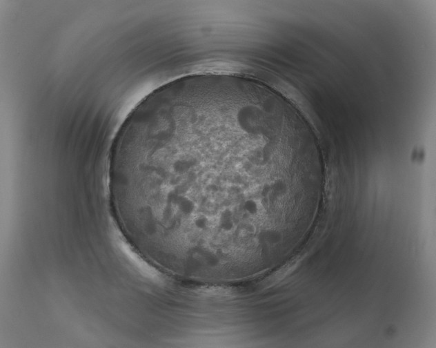 X0000111241083200907091354