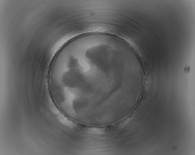 X0000111241086200907091354
