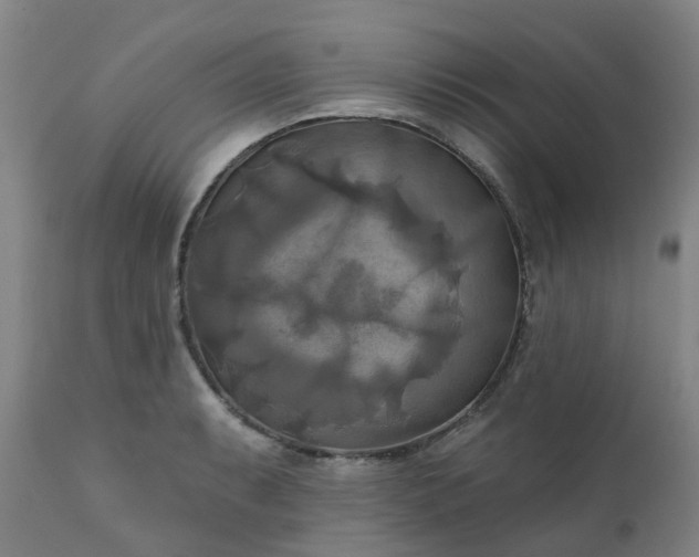 X0000111241087200907091354