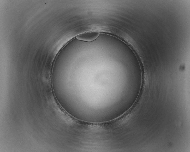 X0000111241089200907091354