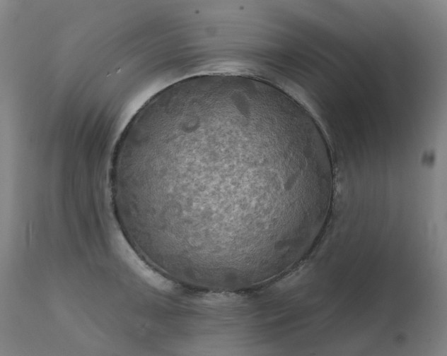 X0000111241091200907091354
