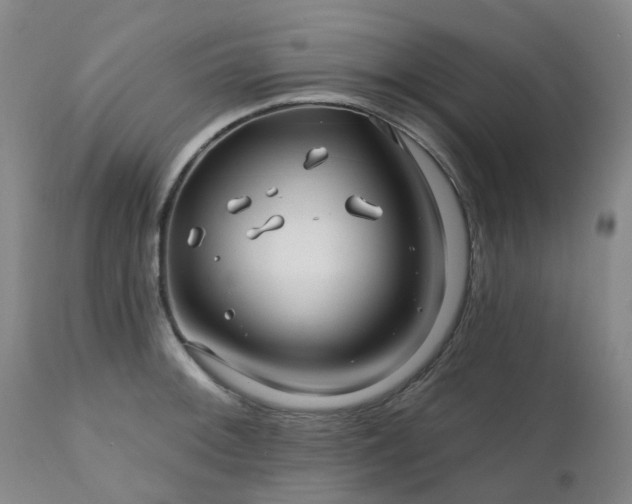 X0000111241092200907091354