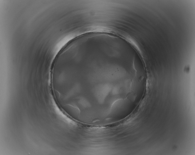 X0000111241095200907091353