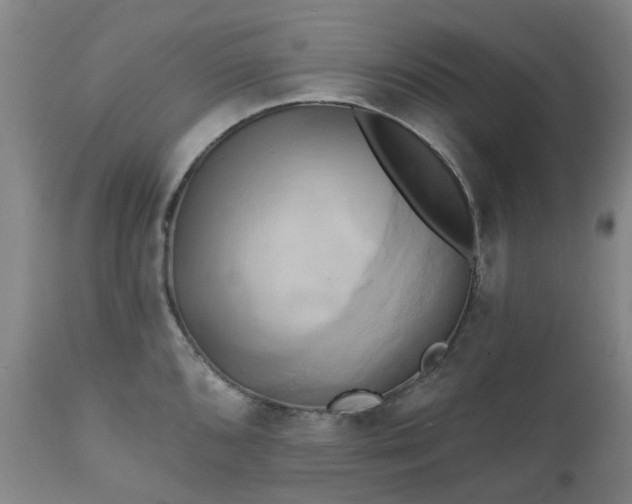X0000111241096200907091353