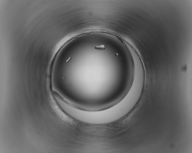X0000111241098200907091353