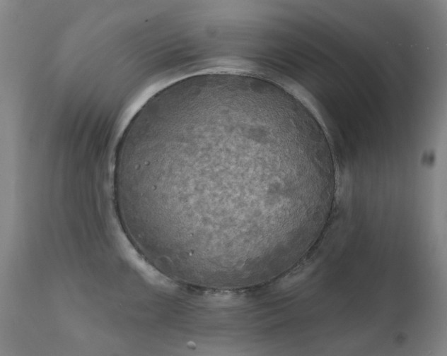 X0000111241099200907091353