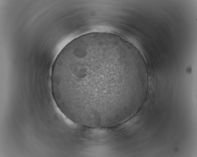 X0000111241103200907091353