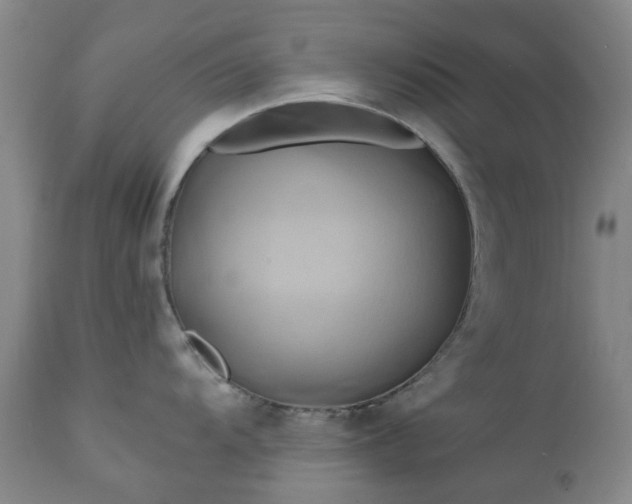 X0000111241104200907091353