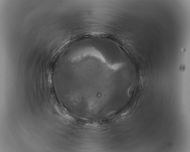 X0000111241106200907091352