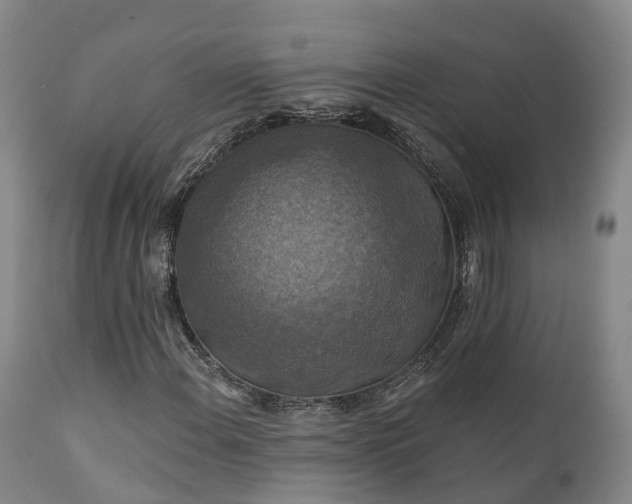 X0000111241108200907091353