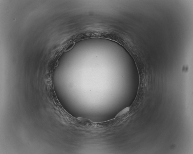 X0000111241109200907091353