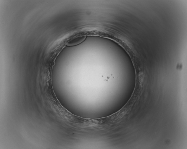 X0000111241111200907091353