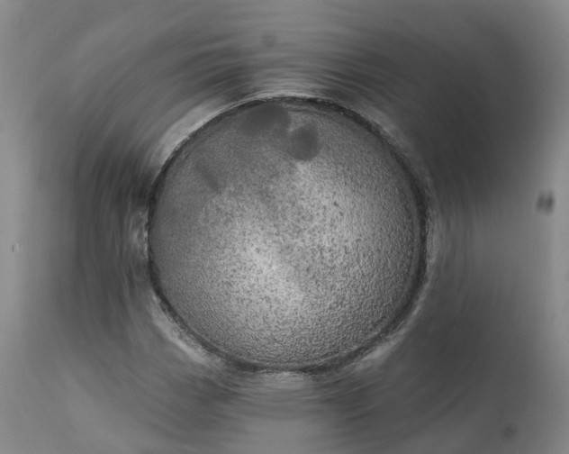 X0000111241113200907091353