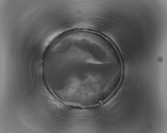 X0000111241115200907091353