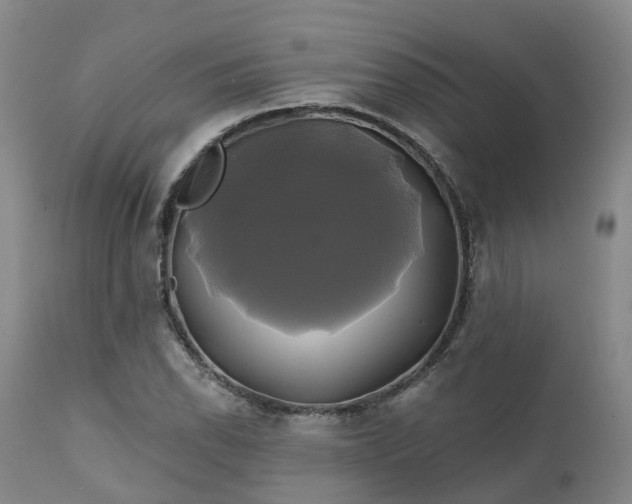X0000111241118200907091353