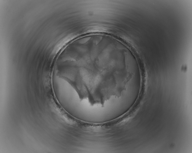 X0000111241121200907091353