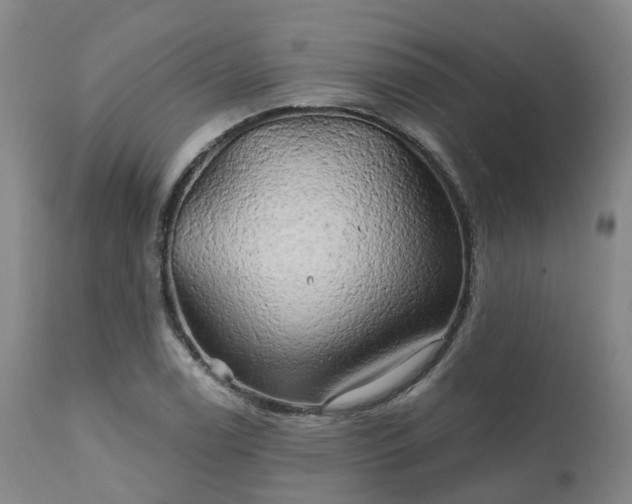 X0000111241122200907091353