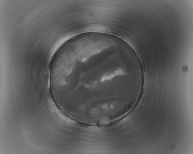 X0000111241123200907091353