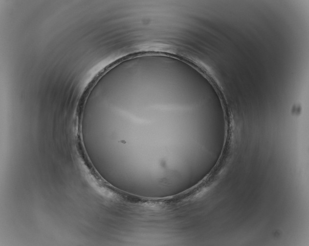 X0000111241125200907091353