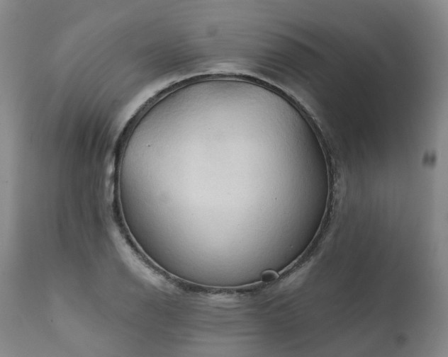 X0000111241126200907091353