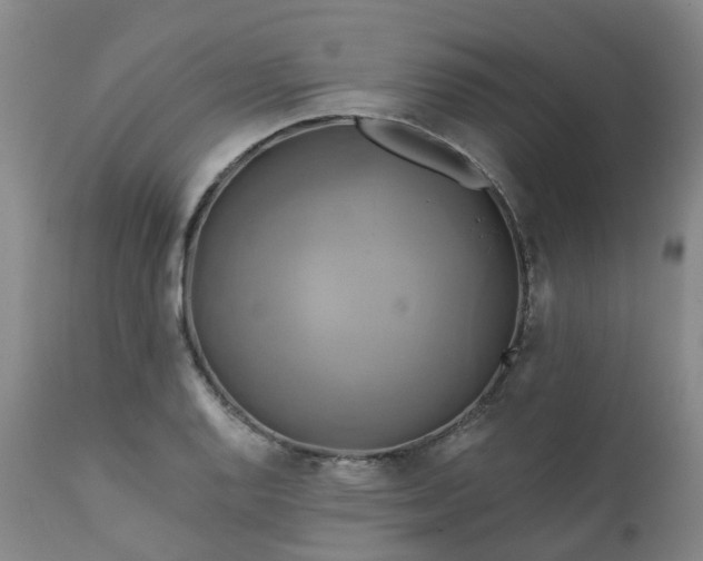 X0000111241128200907091353