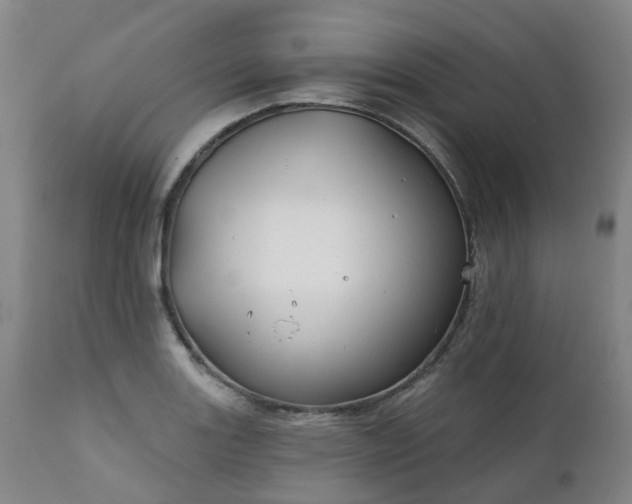 X0000111241131200907091353