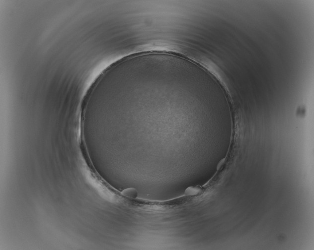 X0000111241132200907091353
