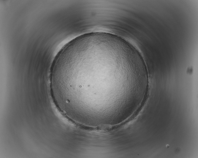 X0000111241133200907091353