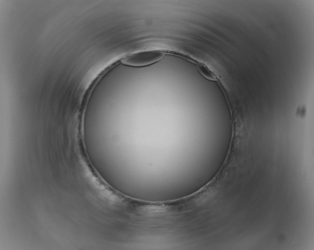 X0000111241134200907091353