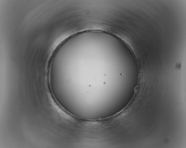 X0000111241135200907091353