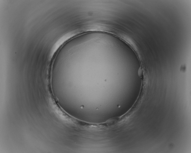 X0000111241138200907091353