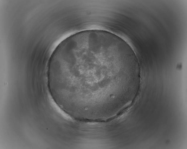X0000111241142200907091353