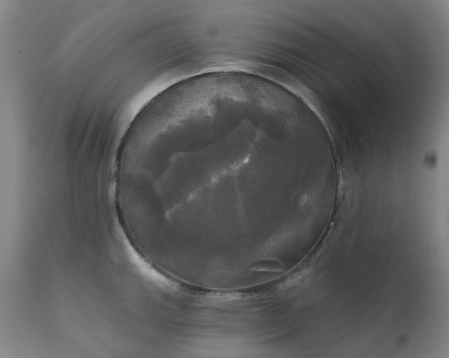 X0000111241143200907091353