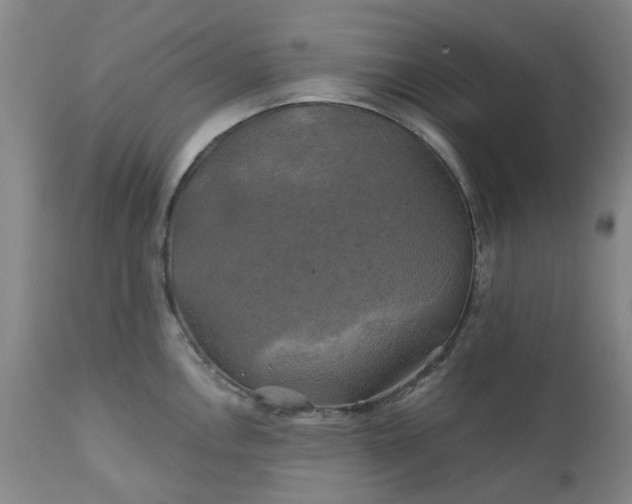 X0000111241146200907091353