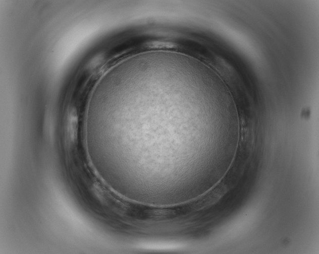 X0000111241151200907091353