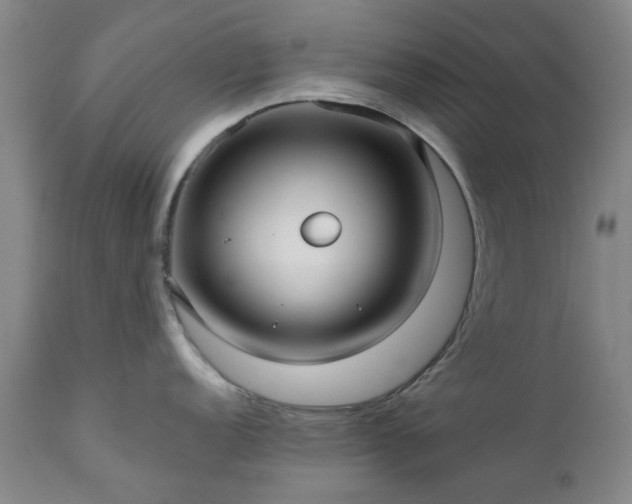X0000111241152200907091353