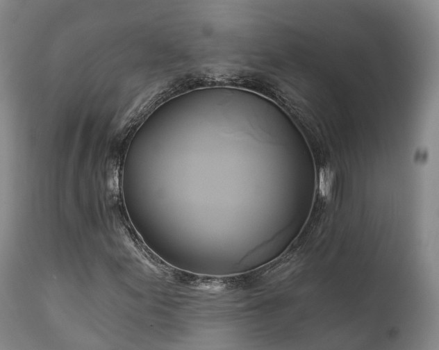 X0000111241155200907091352