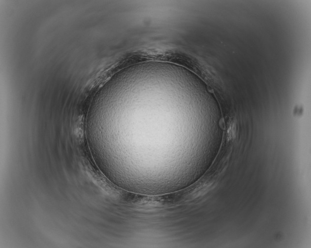 X0000111241156200907091352